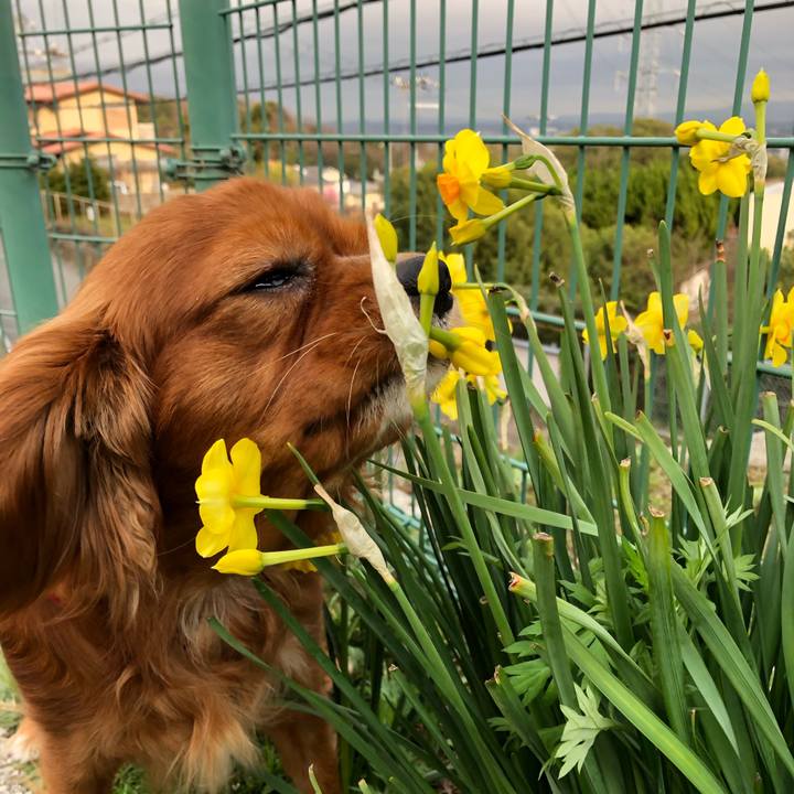 50243347 76c9 4315 96ed c07bbe916eaa 1553172990667