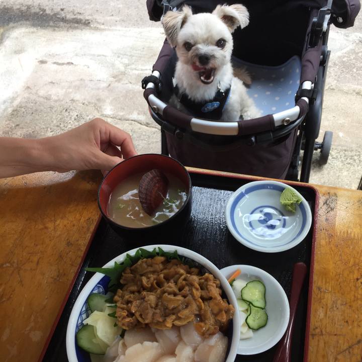 50245d69 8055 40f6 b9cb 1af9b0fce67b 1530327447471