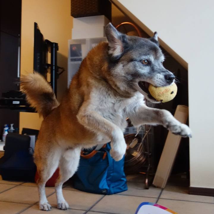 50249dab 6291 43e8 806a b48d83ec24cd 1566087147244