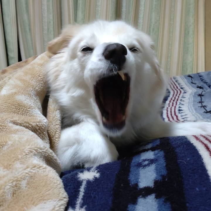 5024c8f7 bae6 430b a304 f85fd47dfdff 1644879199975