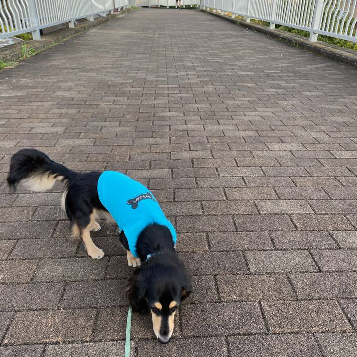 5024d1c5 fd40 4515 96d6 265b387739ac 1695166497064