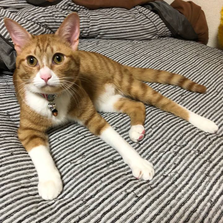 502502f5 b235 46e8 8147 a0cc3b7edf8e 1559914993440