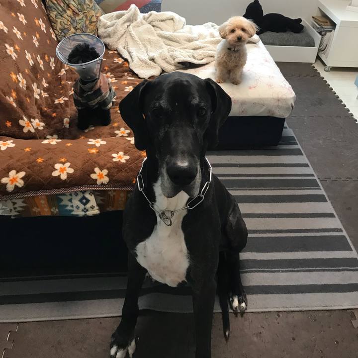 50251cf1 47c1 4b07 a911 33d8ace61905 1519599362702