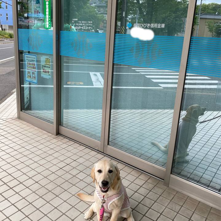 50252b70 89a9 456e 95fc 288507c3824b 1619843093894