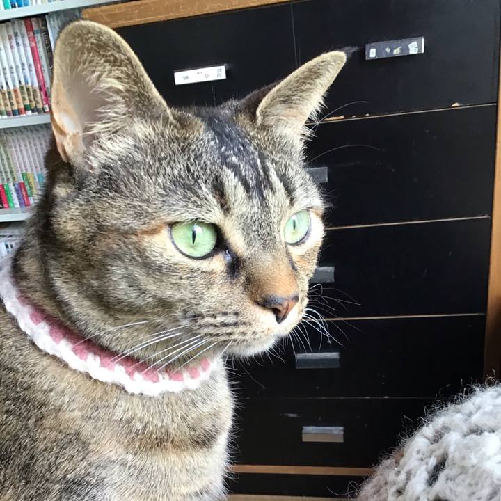 50253d21 02b3 4570 8839 dfe2d0c598b0 1715763807313