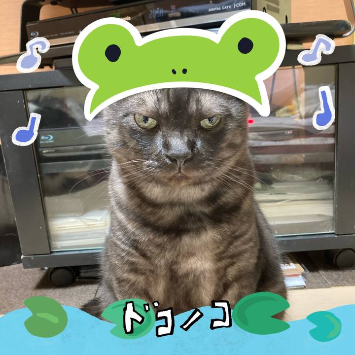 5025538e 4e3c 4c54 a9f3 fafb4b9859d8 1717588698369