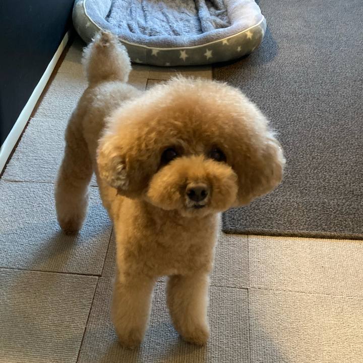 50255b6e 7ed0 42f3 b678 47f495524f8d 1643503300607