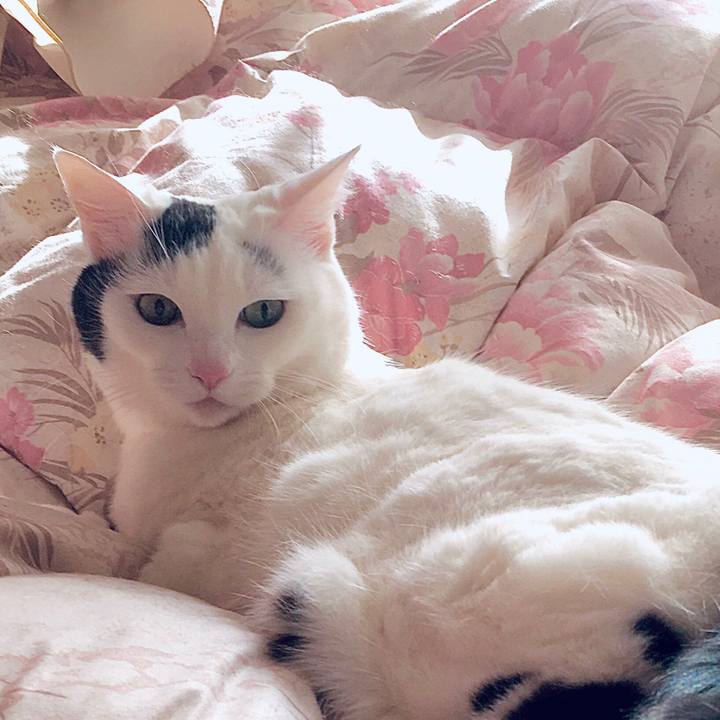 5025b434 8b4e 4aad b1cc f2c1f6f0c750 1582361865639