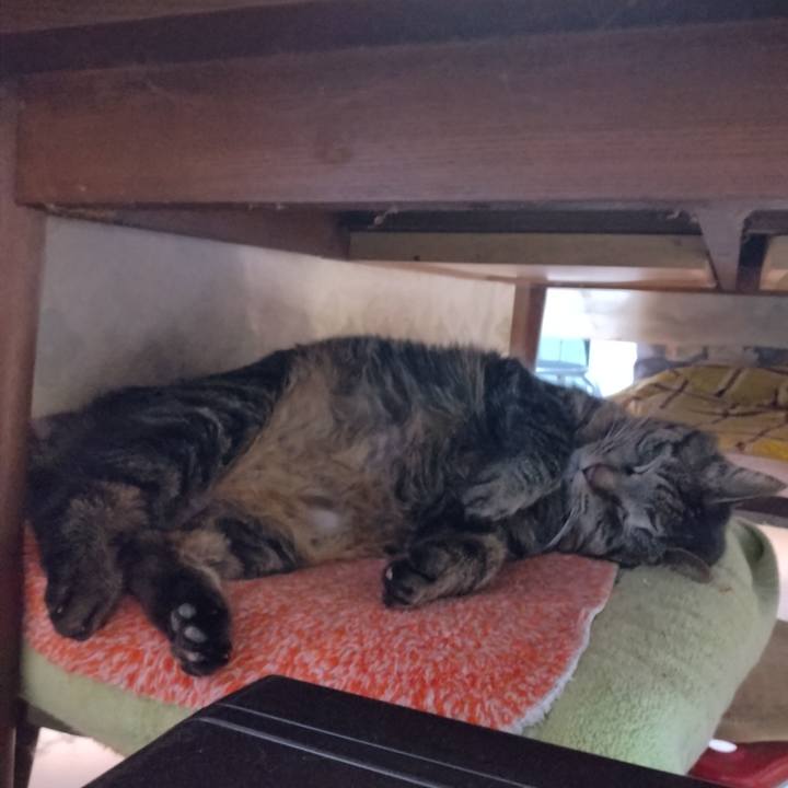 5025d582 ba0e 4506 9967 2508aeb1f6af 1710801905824