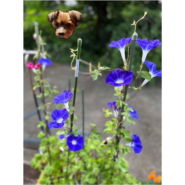 5025e3f8 1b30 4f61 a083 f61eebc7b40d 1659237168751