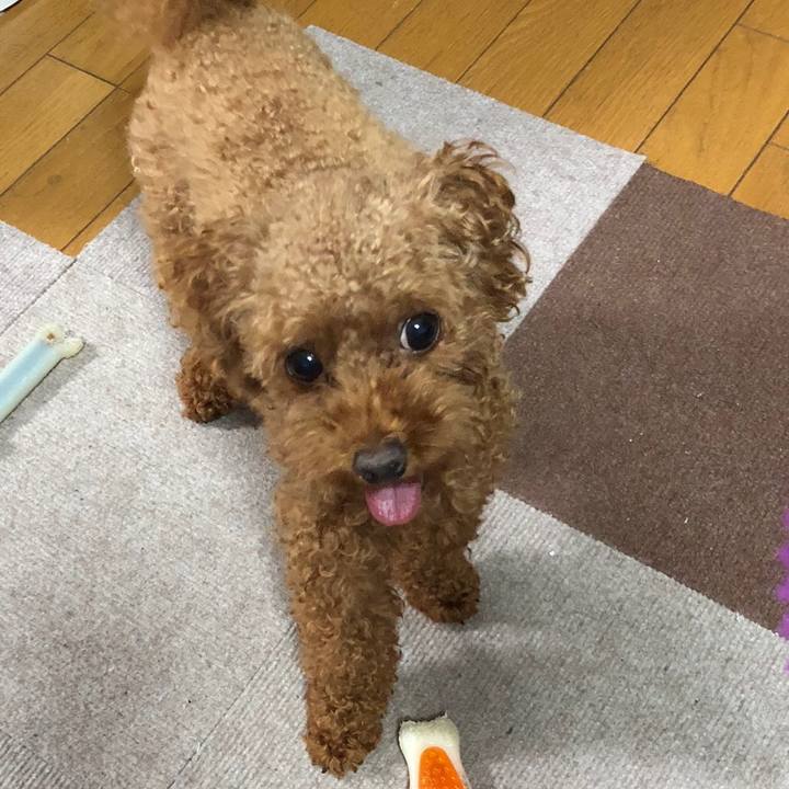 5025eddc 42cd 4a99 b7f0 3ba84af0fae5 1532520284049