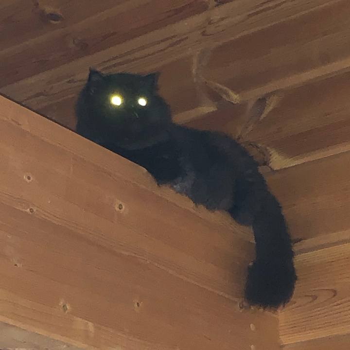 502621c6 b4ba 4ffc 9f91 24bb2c48919b 1630761235572