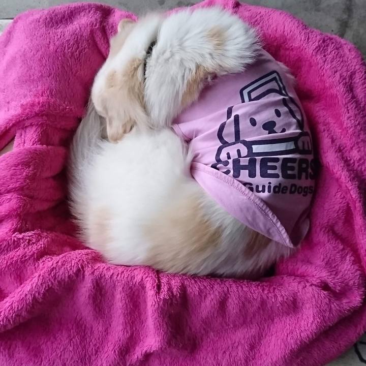 5026426d c48a 4002 81e3 76964e39e5e7 1638933110528