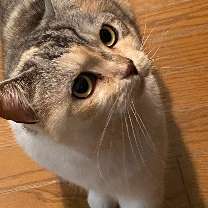 502656de 4c63 49c1 a331 96b8e85434fd 1590143321211