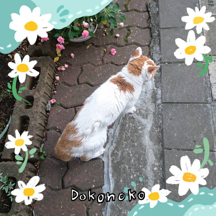 50267b0e 2596 4029 ad9a fee9f08afbd9 1712232401060