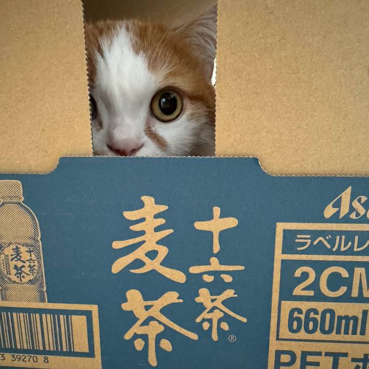 50267e3d 452a 4d48 9d35 9faf0013e4ff 1776561807384