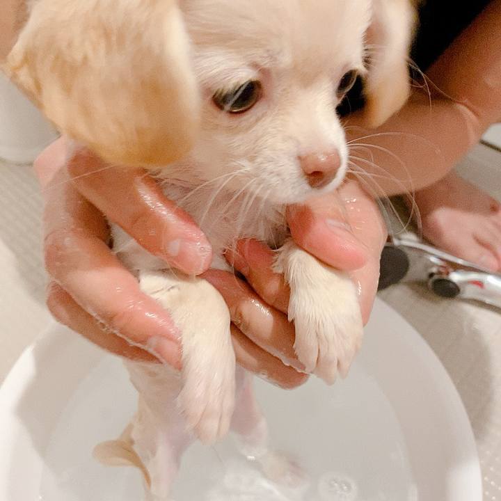 5026add0 afb2 48fe a5f4 f46bfa056951 1591068507899