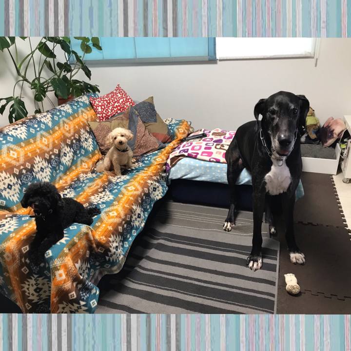 5026e7b3 7ff8 4f7e aadc 1ca2f03b2267 1539297139175