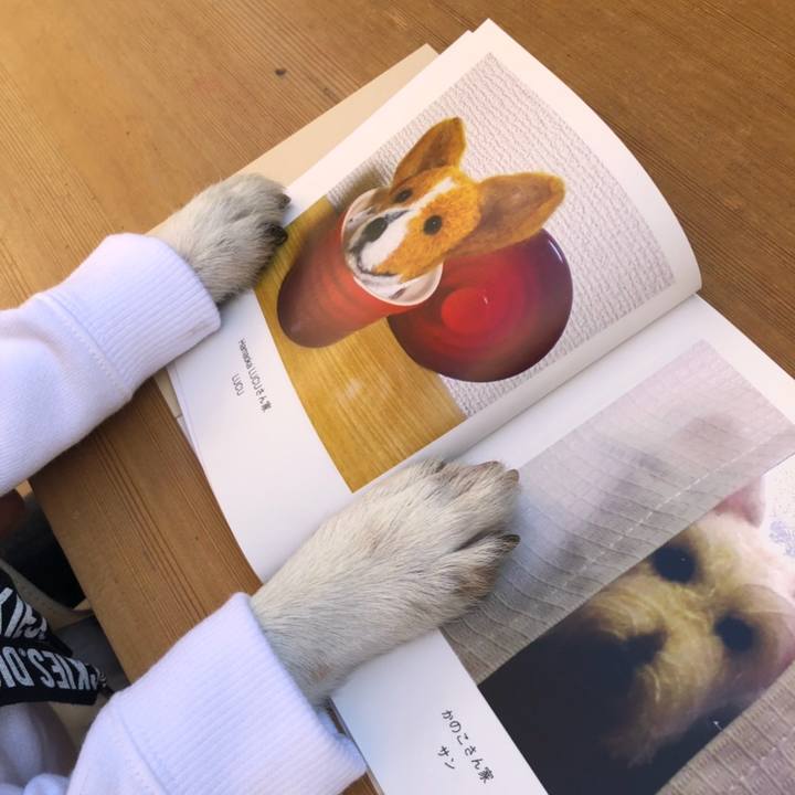 5026f913 bb28 4252 b1d9 b17509f6bfc2 1540179732041