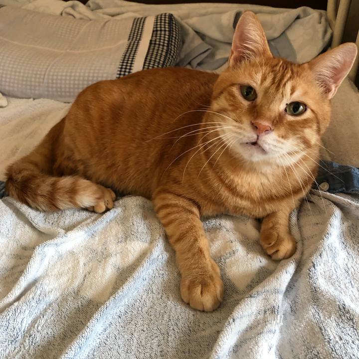 502711e0 5e34 484d a237 9a77bb59528b 1567457406198