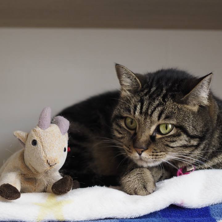 50273c79 1afa 4c2e b07e 5f7fa22c992a 1614767549378