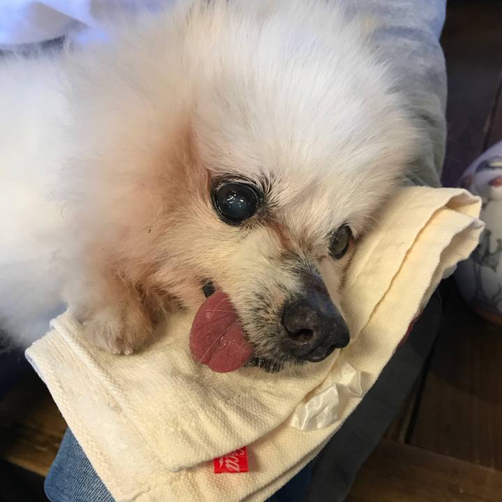 50277013 dd06 4823 ae56 2acbeeaf3841 1530291927573