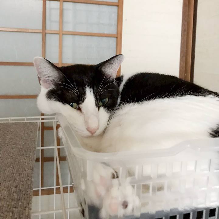 5027746a 4029 4ea3 9777 78ae127183dd 1538183602126