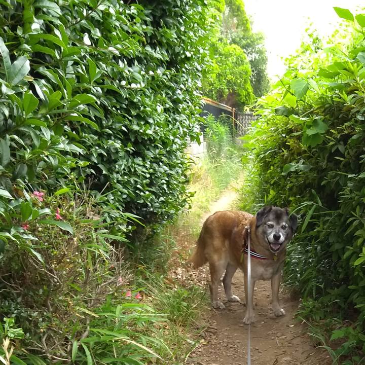 50277fd3 e323 40c5 8335 2d3529bdf885 1559866823526