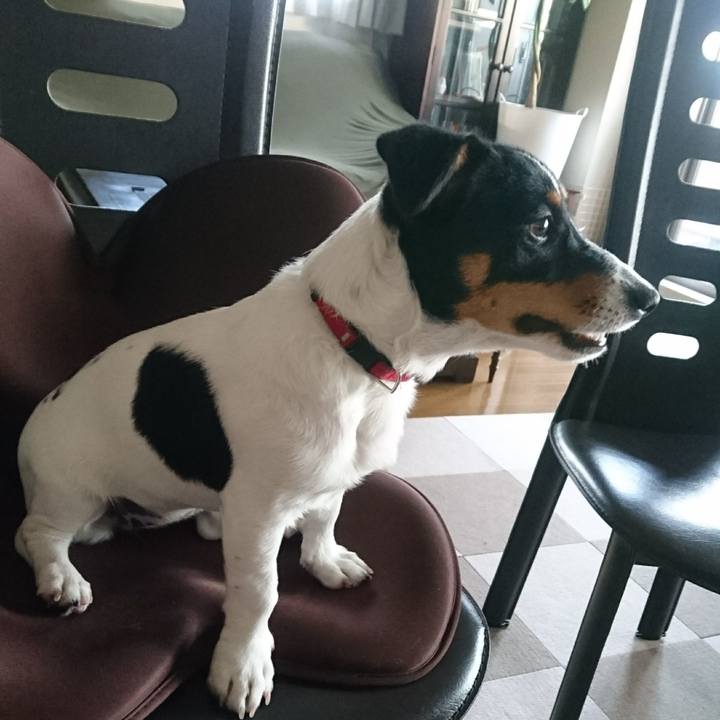 5027d8b0 f68c 4cfd 9c11 9c9f74b24bb7 1519713012507