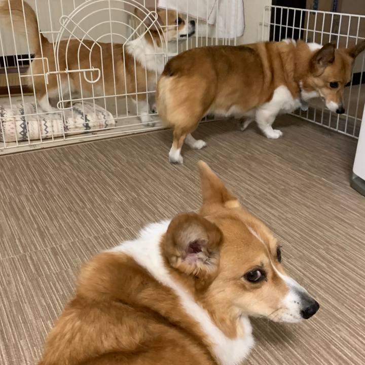 5027fa07 2775 42aa b475 63f32e1b343e 1583224697300