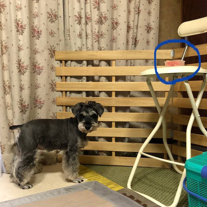 5027fbc1 8745 41ab 95e6 93a422c5757f 1631953592940