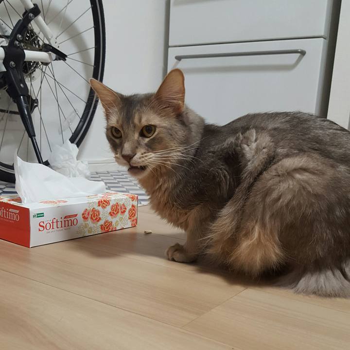 50283f43 efe7 4259 b85a 3ad5c1cc819f 1516879210314