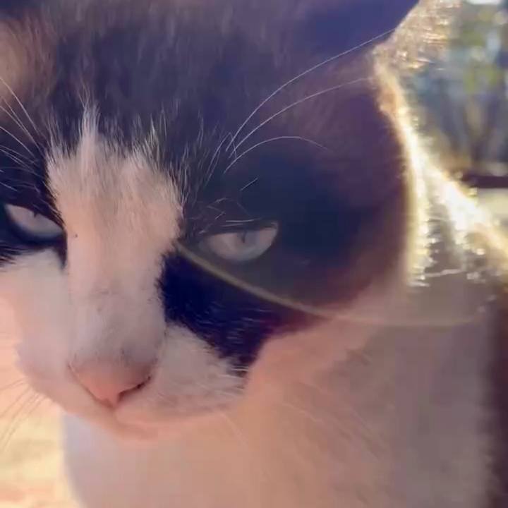 502849f2 1380 4025 af60 76f7a7ea1eae 1768741681818