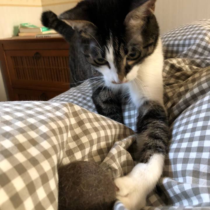 50285b46 e542 416f ae9d 4b93483697e7 1517326556070