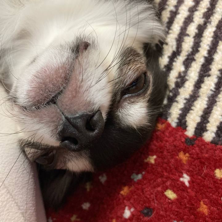 5028691e 3e82 4a49 b5d1 f6dd82ad6033 1677943665964