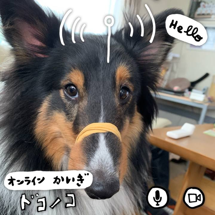 5028759b c14d 4040 b987 7f3fc2acd17a 1591221975885