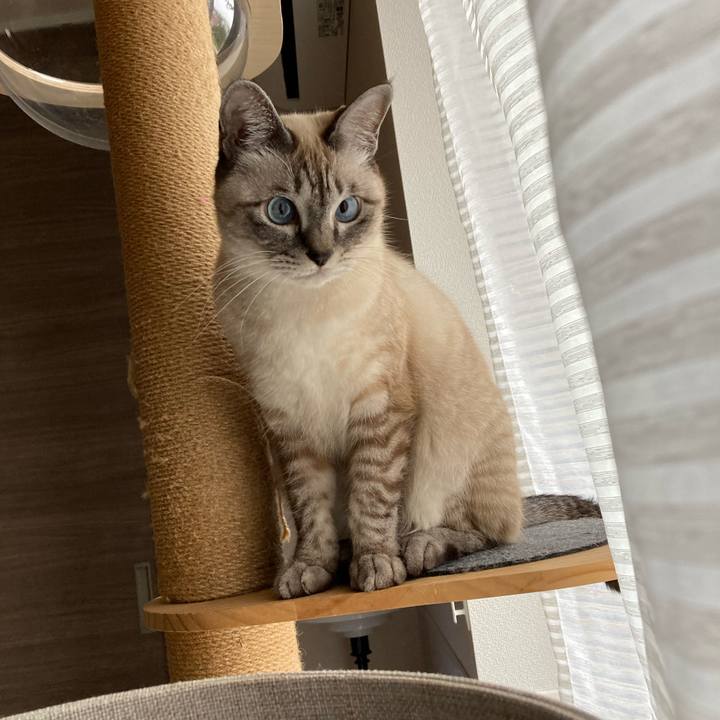 50287777 a075 460b bf78 ad28f96c907e 1637878968286