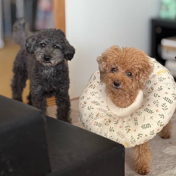 5028b70c 8833 4268 b2f1 110037ee1baf 1738042268526