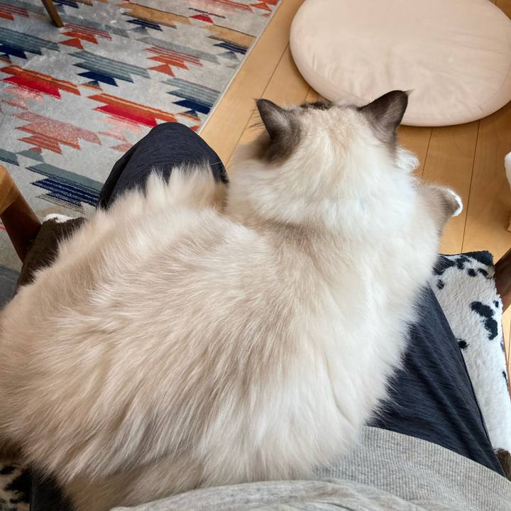 5028bba2 9d0e 49cd 99ed cf37a6e4b11e 1602376346368