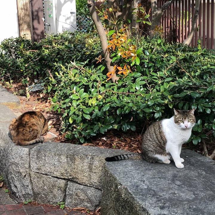 5028c4cd 5c56 4e53 a202 15942101a3a7 1523521586971