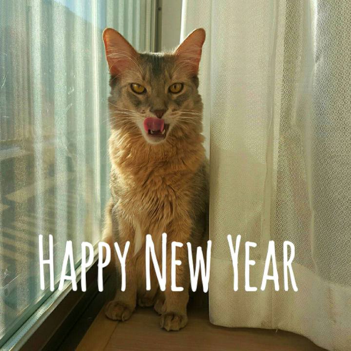 502905c7 9704 4135 88ea bc483c9ca7a2 1546324228726