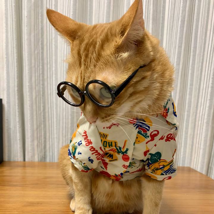 50293f1f 350a 4163 b4f0 0cae25dba2fc 1623967965968