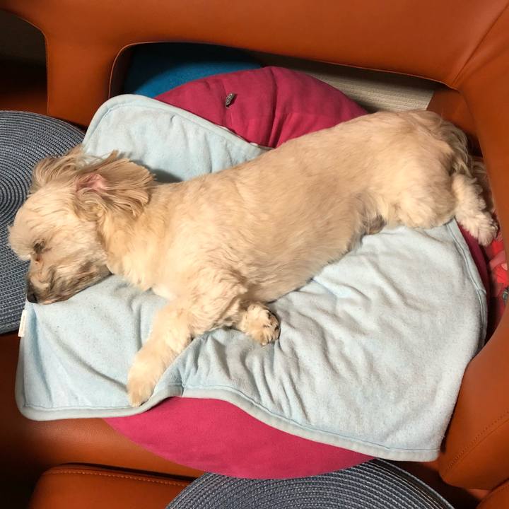 50299065 7234 4c04 af99 7db2180f9a82 1509288931378