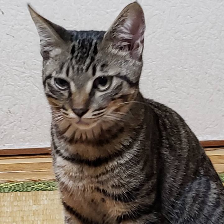 502999cb 356d 4bc1 b41d f400c610e0d2 1543244586304