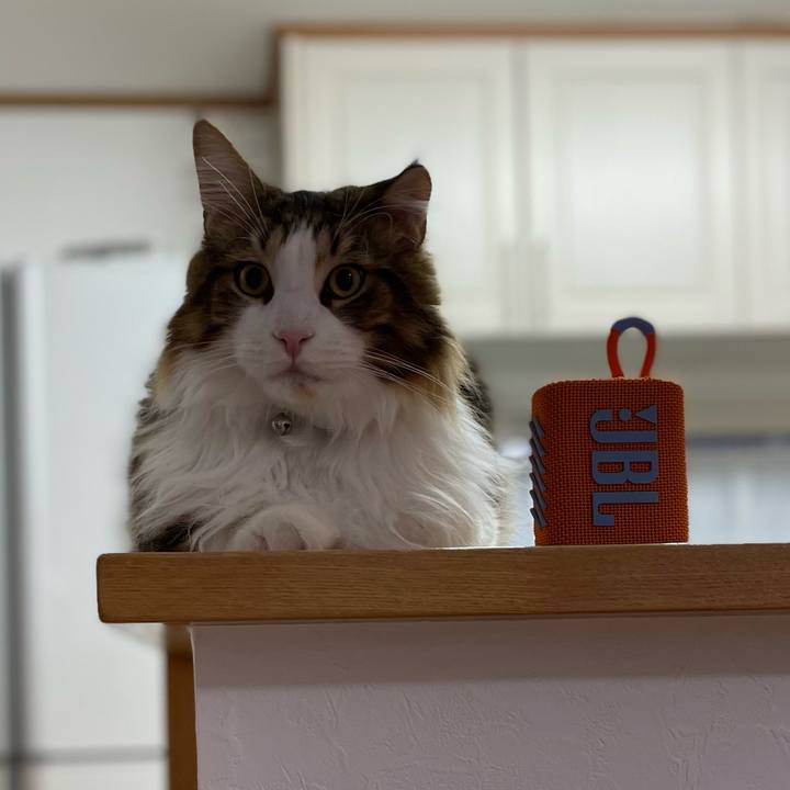 5029b4ec ef79 4dfa 9c8a 871a2b7b54bf 1651261092466