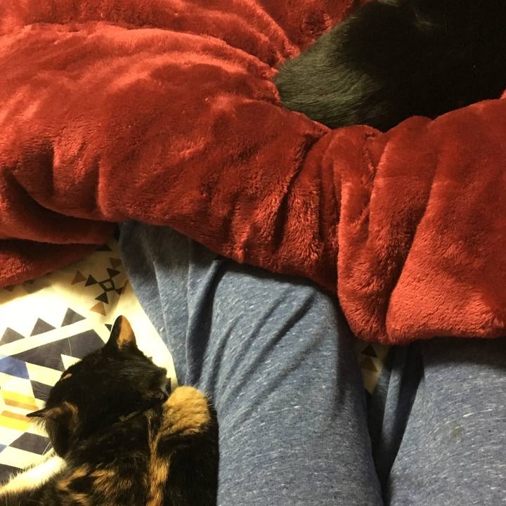 502a2390 6288 407a 90d9 124274e0666b 1507992193705