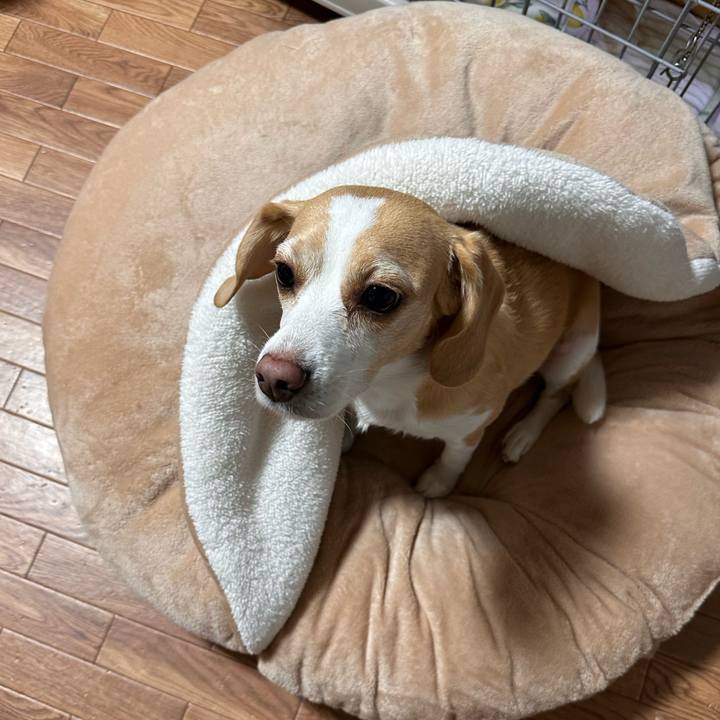 502a7b54 2bb9 44db 9d58 6d9f7b96eb71 1667661549760