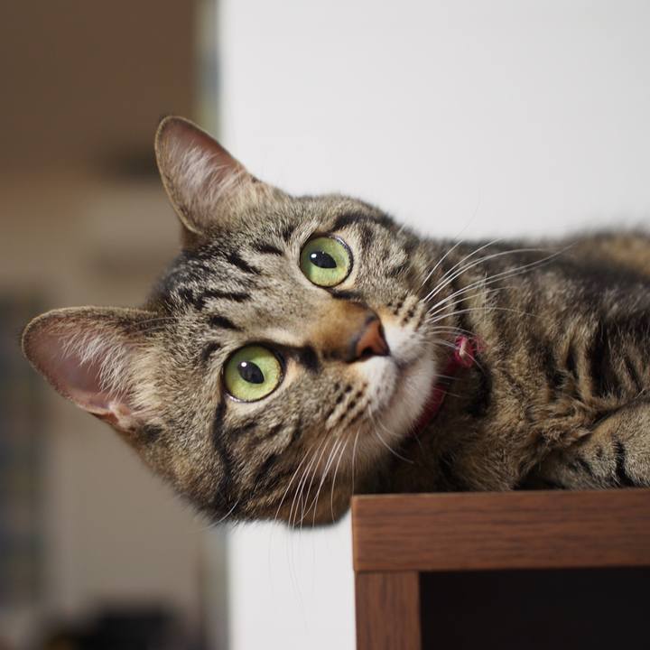 502a9da7 e5a7 4fc4 8065 0b56601fee87 1593122074696