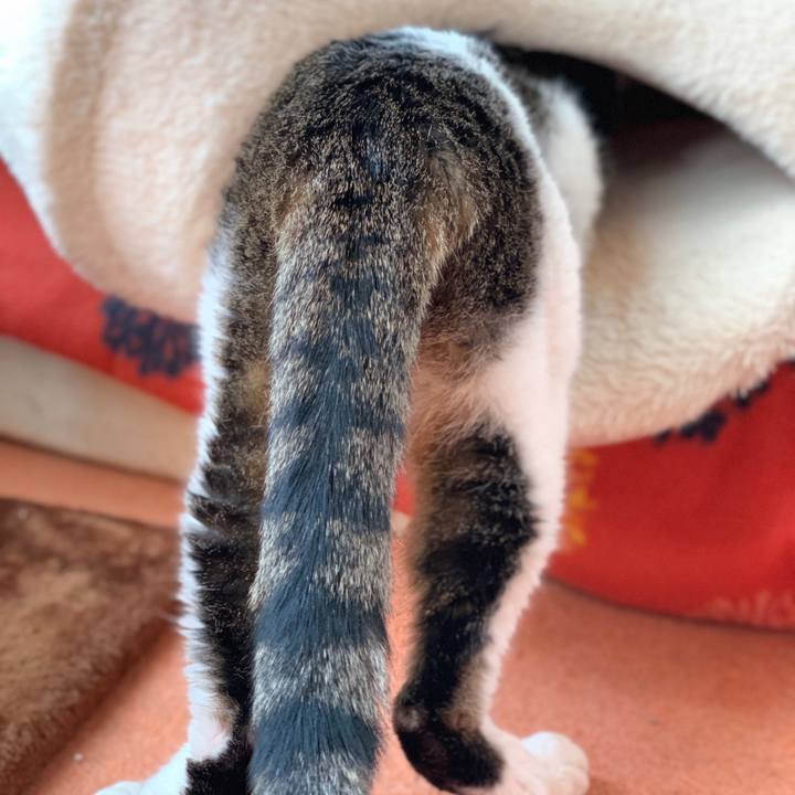 502b0b22 51fe 40cd 92ce daee21c01633 1586740860103