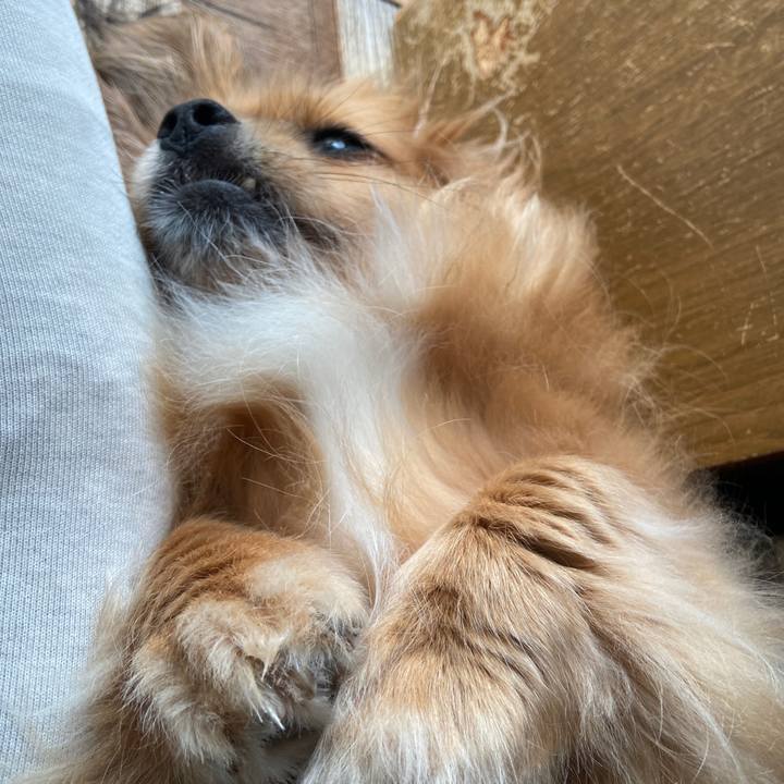 502b2709 7d0f 42d0 a7e1 dea96ceadc01 1626298393093